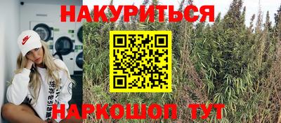 сатива Ирбит