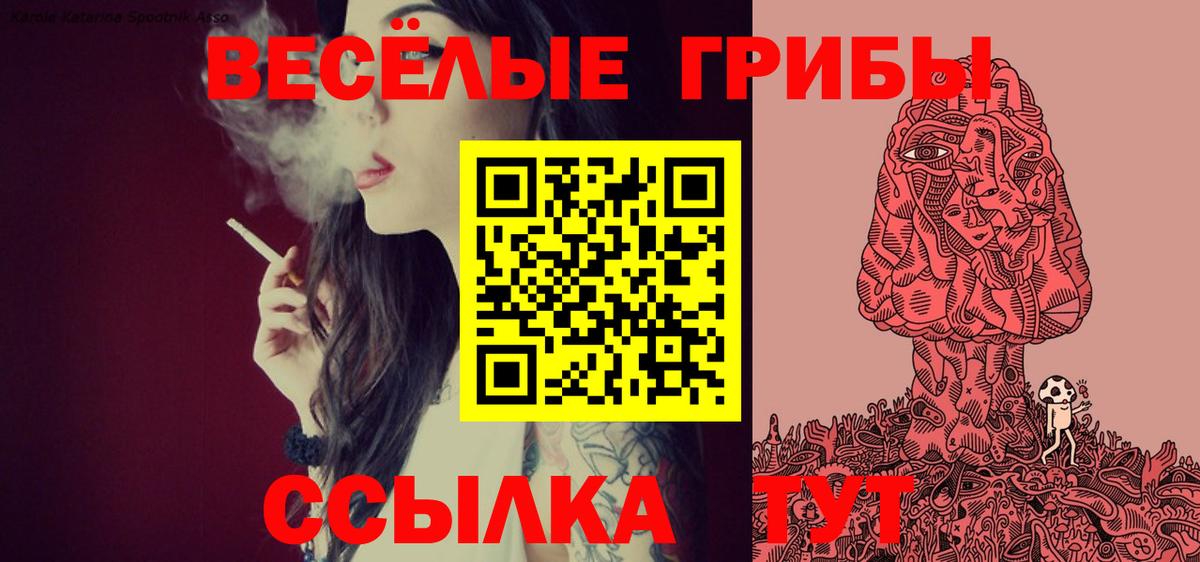 Псилоцибиновые грибы Magic Shrooms Кызыл