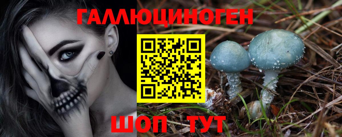 как найти закладки  Вход с VPN  Кызыл  Галлюциногенные грибы Psilocybe 